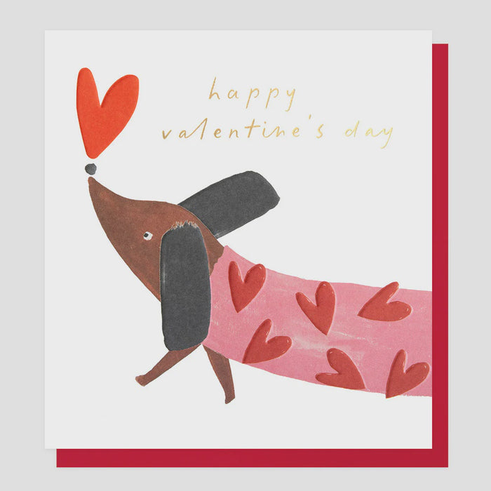 Caroline Gardner Sausage Dog In Heart Jumper Valentine's Day Greetings Card