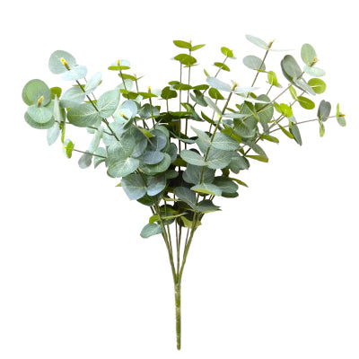 Eucalyptus Spray