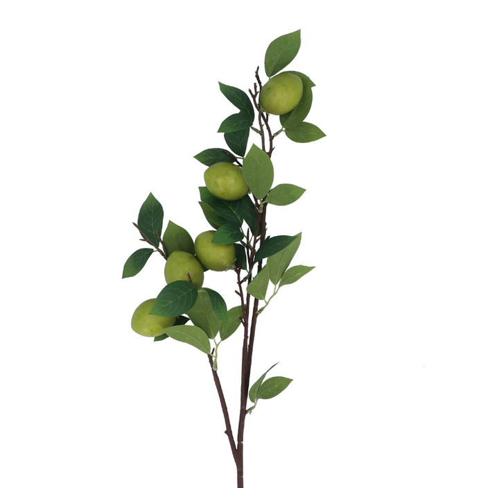 Gisela Graham Lime Branch