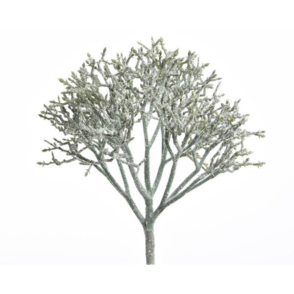 Glitter Finish Hogweed
