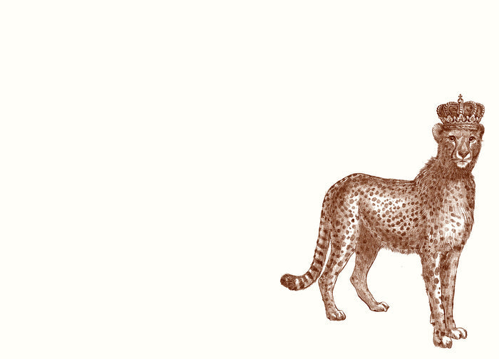 Royal Cheetah A6 Notes