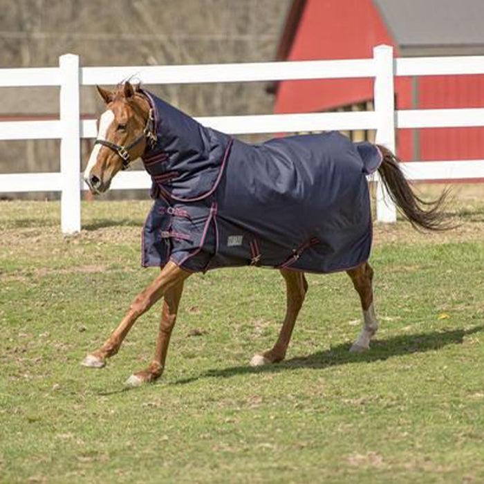 TuffRider 1200 D Comfy Winter Medium Weight Turnout Blanket w/ Detachable Neck - Breeches.com