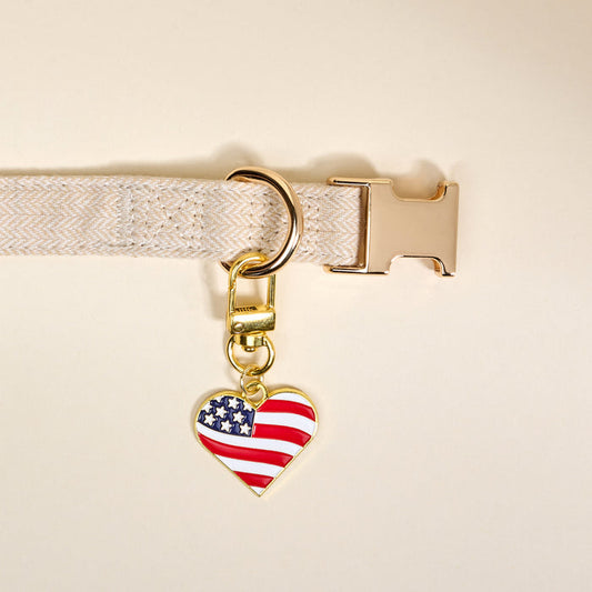 A close-up of a beige herringbone dog collar with a gold buckle, D-ring, and The Darling Effect’s Americana Heart Pawfect Collar Charm—ideal for adding patriotic flair to your pet accessories collection.