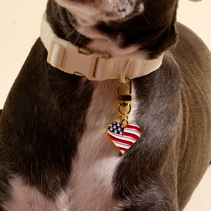 A close-up of a dog wearing a light-colored collar with The Darling Effect's Americana Heart Pawfect Collar Charm, displaying stylish pet accessories. Only the dog’s neck and front legs are visible.