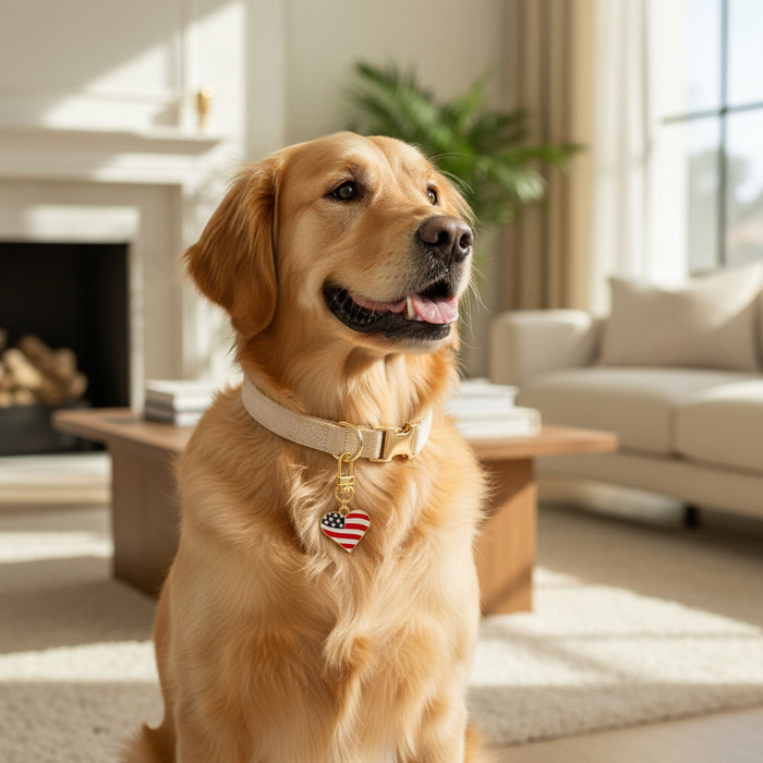 A golden retriever wearing The Darling Effect’s cream collar and Americana Heart Pawfect Collar Charm sits in a sunlit living room with neutral decor, adding patriotic pet style to the cozy scene.