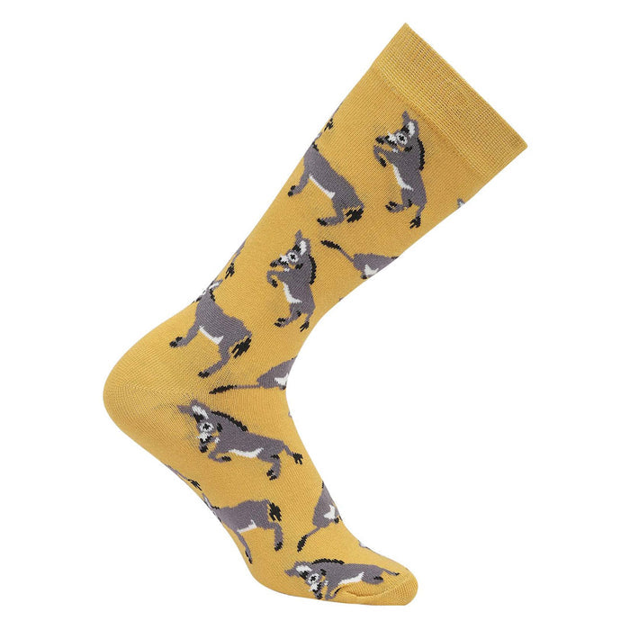 AWST Int'l Playful Donkeys Socks 6 pack