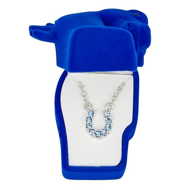 AWST Int'l Aqua Rhinestone Horseshoe Necklace w/Aqua Horse Head Gift Box - Breeches.com
