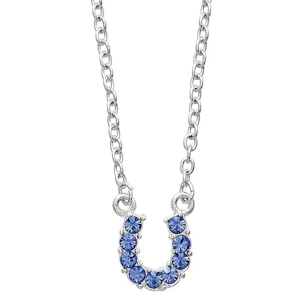 AWST Int'l Aqua Rhinestone Horseshoe Necklace w/Aqua Horse Head Gift Box - Breeches.com