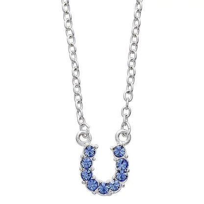 AWST Int'l Aqua Rhinestone Horseshoe Necklace w/Aqua Horse Head Gift Box - Breeches.com