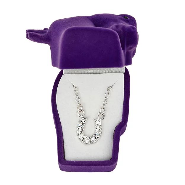 AWST Int'l Aqua Rhinestone Horseshoe Necklace w/Aqua Horse Head Gift Box - Breeches.com