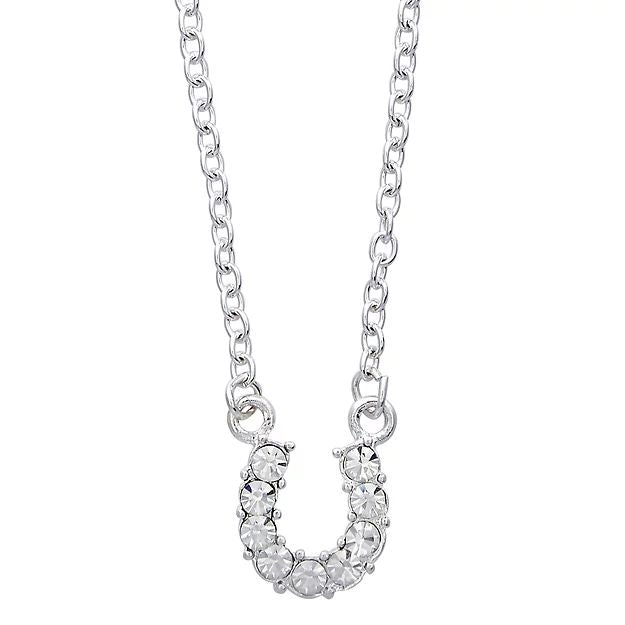 AWST Int'l Aqua Rhinestone Horseshoe Necklace w/Aqua Horse Head Gift Box - Breeches.com
