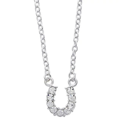 AWST Int'l Aqua Rhinestone Horseshoe Necklace w/Aqua Horse Head Gift Box - Breeches.com