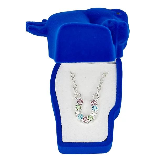 AWST Int'l Aqua Rhinestone Horseshoe Necklace w/Aqua Horse Head Gift Box - Breeches.com