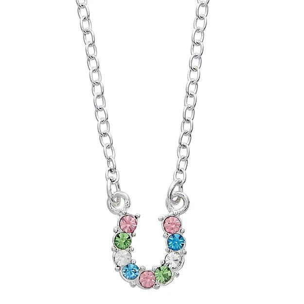 AWST Int'l Aqua Rhinestone Horseshoe Necklace w/Aqua Horse Head Gift Box - Breeches.com