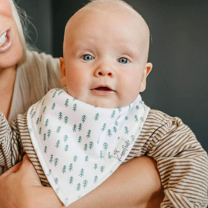 Baby Bandana Bibs - Atwood