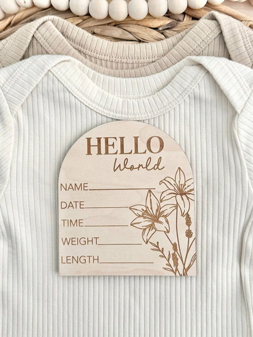 Baby Gift - Baby Stat Announcement Disc