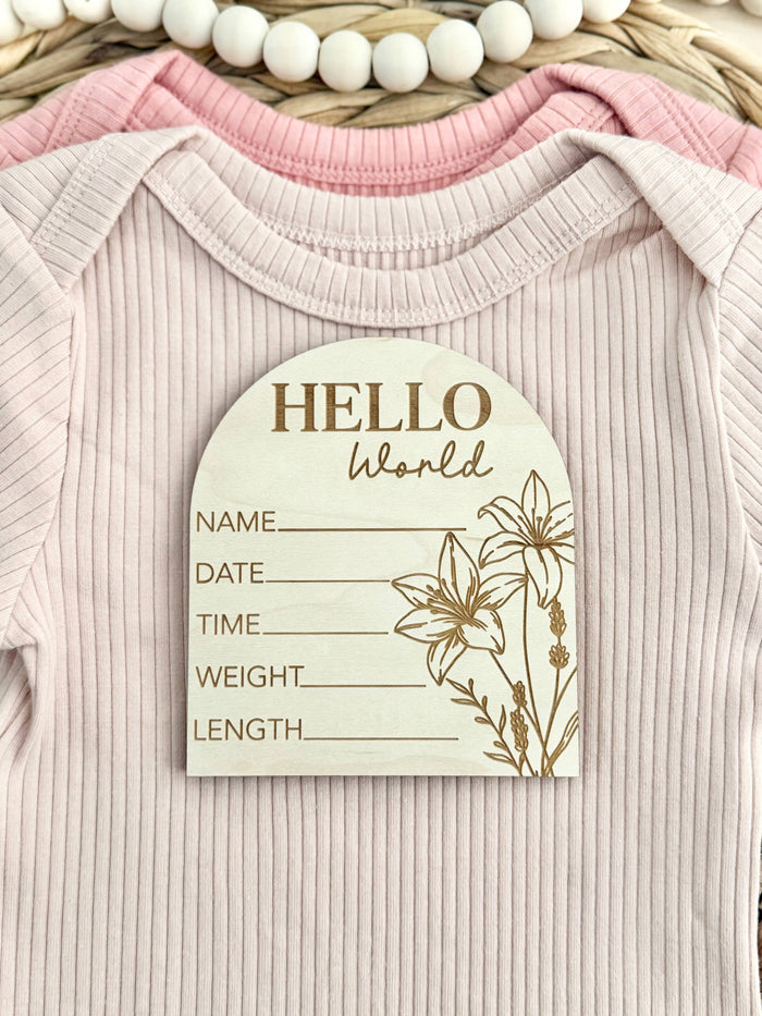 Baby Gift - Baby Stat Announcement Disc