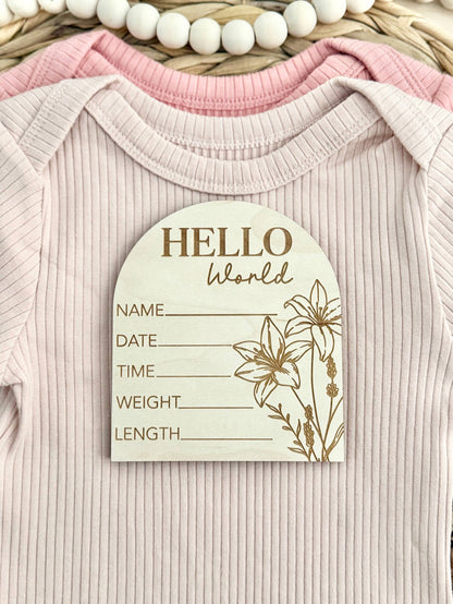 Baby Gift - Baby Stat Announcement Disc