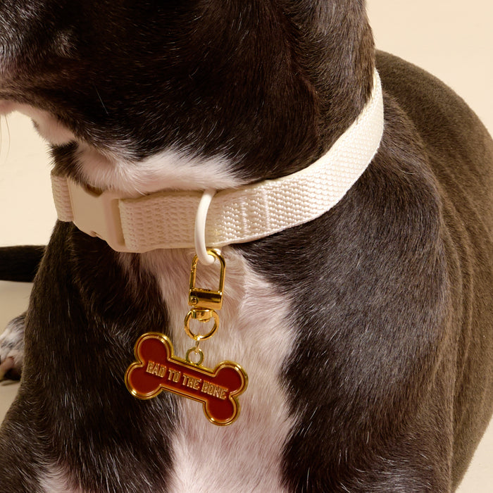 A black and white dog sports a white collar with The Darling Effect's Bad to the Bone Pawfect Collar Charm, a gold and red bone-shaped tag. The dog's face is partly out of frame, showing off its stylish accessories.