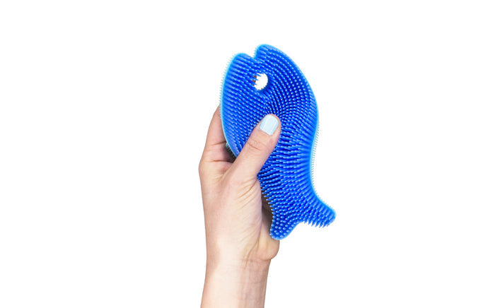 Blue Sensory Fish