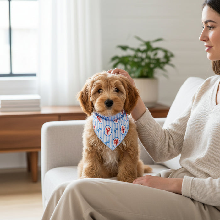 A woman on a light sofa pets a fluffy brown puppy wearing The Darling Effect's Bow-Wow Pet Bandana-Harbor House, a stylish cotton dog accessory with red designs. A plant and stacked books sit on the wooden table in the background.