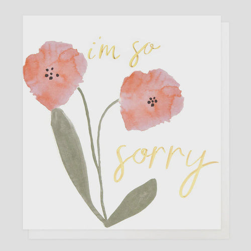 Caroline Gardner I'm So Sorry Greetings Card