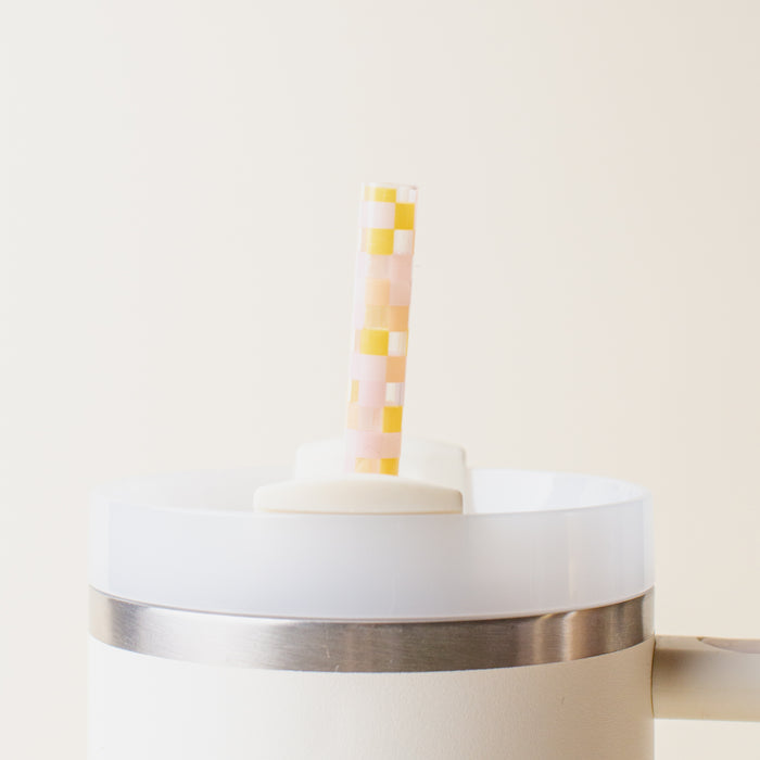 The Darling Effect’s Check Peach 40 oz Tumbler Straw Set features a pastel checkered straw in a white tumbler with a silver band and handle, shown against a light background.