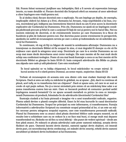 Do You Believe? (Romanian eBook)