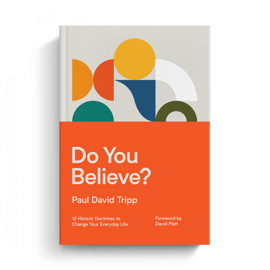 Do You Believe? (Translated eBook)