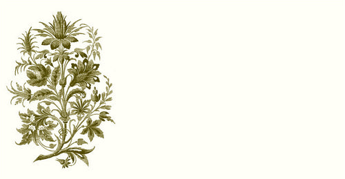 Floral Tapestry Monarch Notes