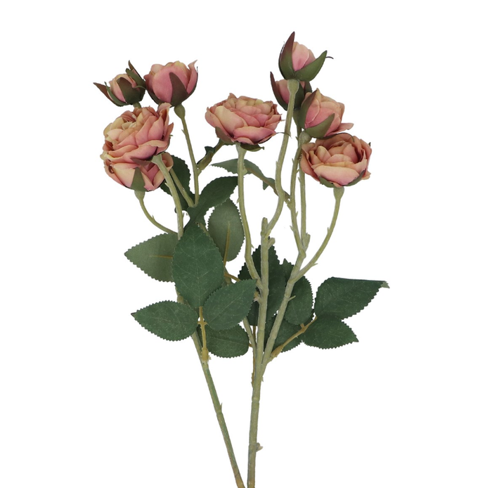 Gislea Graham Antique Pink Rosebud Spray
