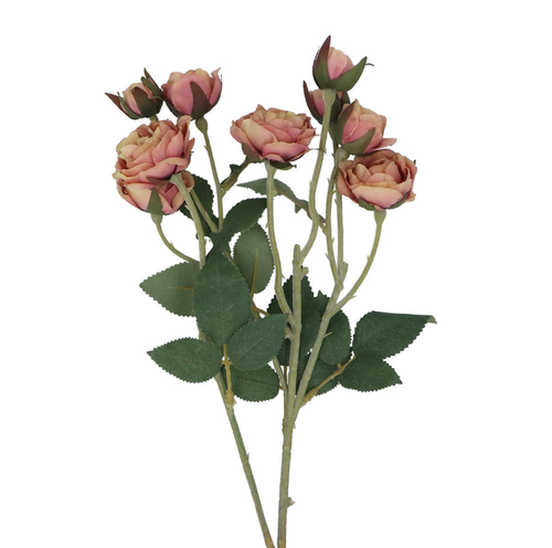 Gislea Graham Antique Pink Rosebud Spray