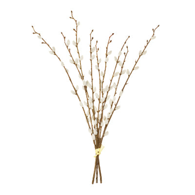 Hand Tied Pussy Willow Spray