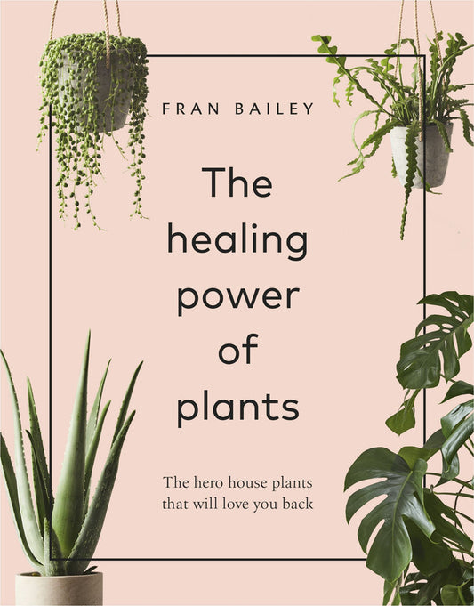 Healing Power Of Plants