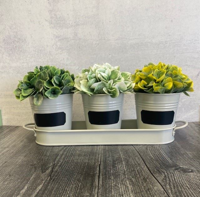 Herb Chalkboard Pot Set w/Tray
