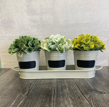 Herb Chalkboard Pot Set w/Tray