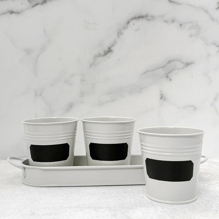 Herb Chalkboard Pot Set w/Tray