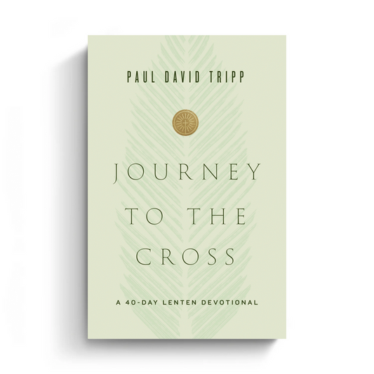 Journey to the Cross (Translated eBook)