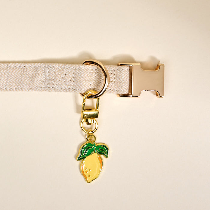 The Darling Effect’s Lemon Pawfect Collar Charm features a yellow lemon-shaped charm with green leaves on a gold keyring—an adorable way to add playful style to your pet’s look. Shown here on a beige fabric belt with gold clasp, laid flat on a light background.