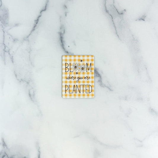 Magnet Rectangle "Bloom Where You are Planted"