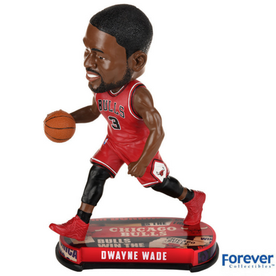 Dwyane Wade - Chicago Bulls