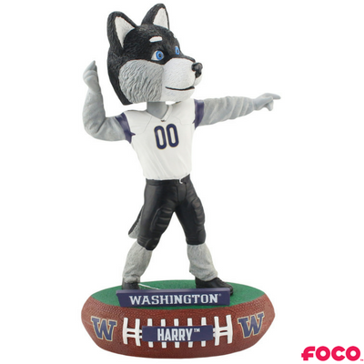 Harry the Husky - Washington Huskies Mascot