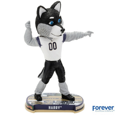 Harry the Husky - Washington Huskies Mascot