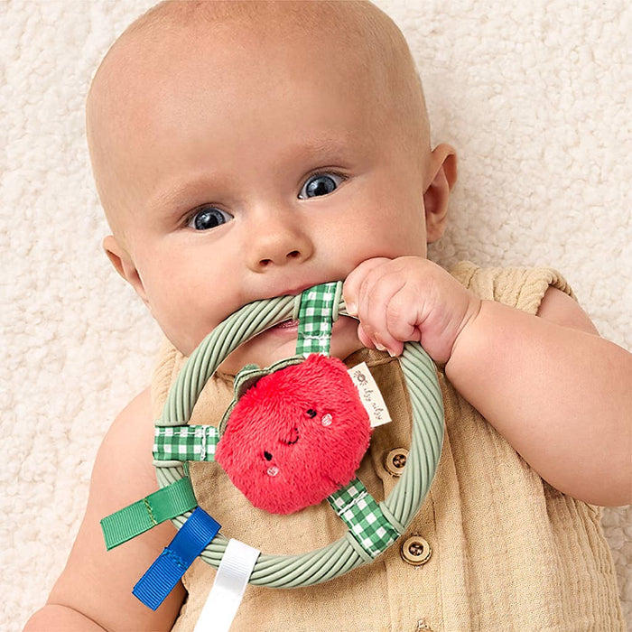 *NEW* Itzy Ring Pal™ - Teething Ring with Plush Character