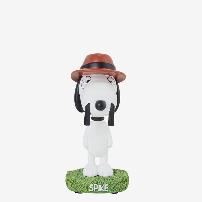 Spike