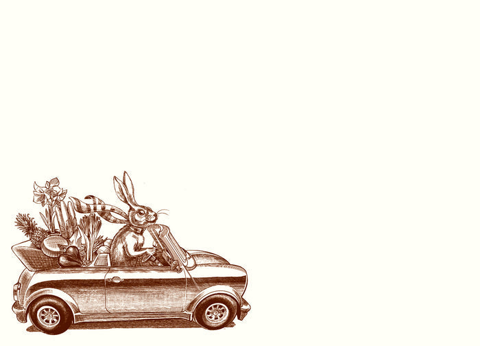 Rabbit Road Trip A6 Notes