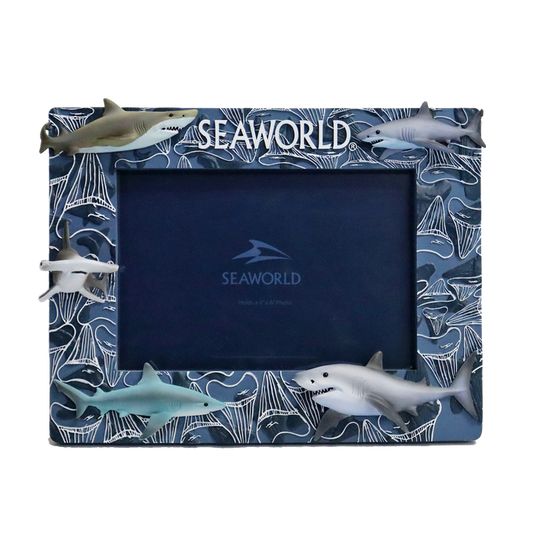 SeaWorld Shark Tooth 4x6 Frame
