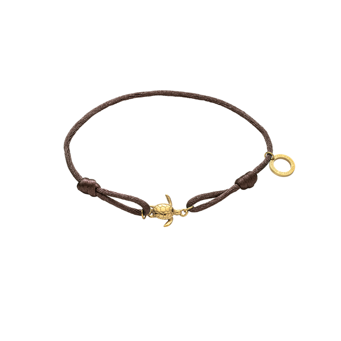 Turtle Band Driftwood Brown