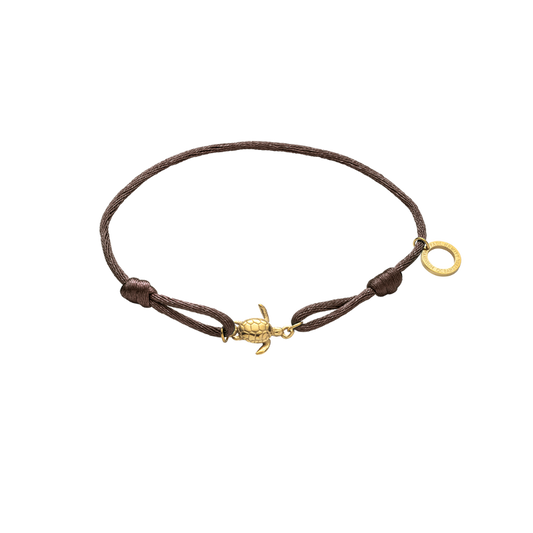 Turtle Band Driftwood Brown