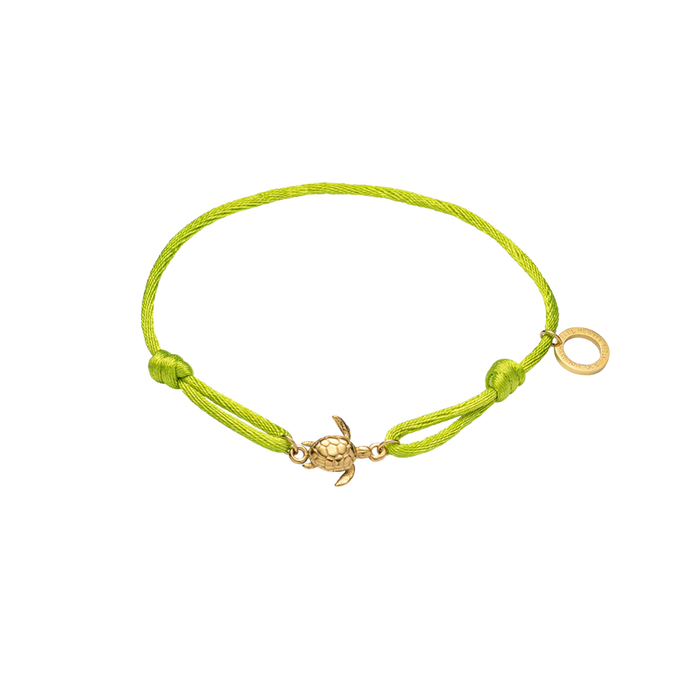 Turtle Band Seaweed Green